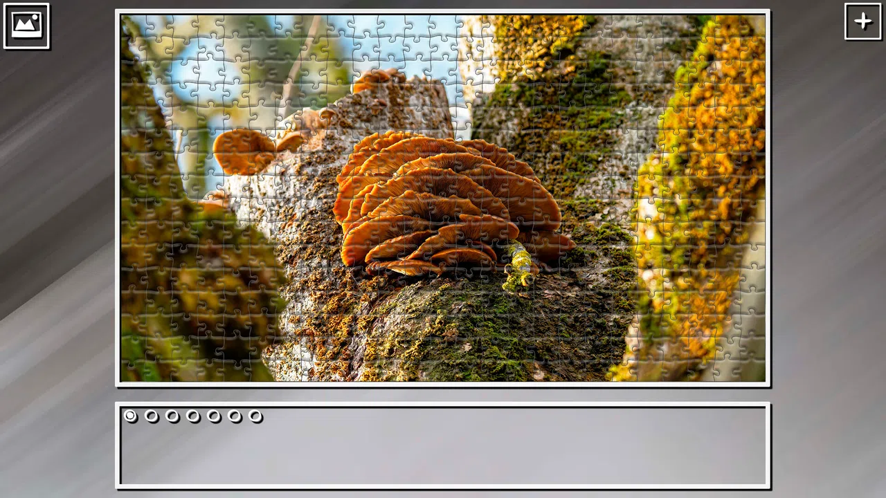 Super Jigsaw Puzzle: Generations - Forests Screenshot 17
