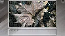 Super Jigsaw Puzzle: Generations - Forests Screenshot 1
