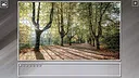 Super Jigsaw Puzzle: Generations - Forests Screenshot 0