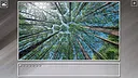 Super Jigsaw Puzzle: Generations - Forests Screenshot 29