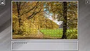 Super Jigsaw Puzzle: Generations - Forests Screenshot 22
