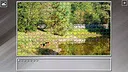 Super Jigsaw Puzzle: Generations - Forests Screenshot 20