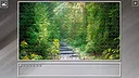 Super Jigsaw Puzzle: Generations - Forests Screenshot 7