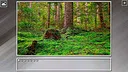 Super Jigsaw Puzzle: Generations - Forests Screenshot 21