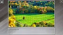 Super Jigsaw Puzzle: Generations - Forests Screenshot 5