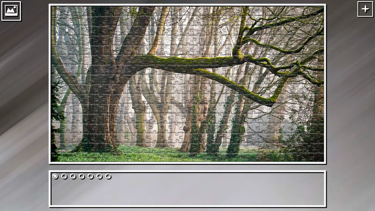 Super Jigsaw Puzzle: Generations - Forests Screenshot 8
