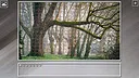 Super Jigsaw Puzzle: Generations - Forests Screenshot 8