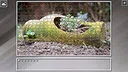 Super Jigsaw Puzzle: Generations - Rome Screenshot 3