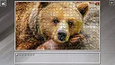Super Jigsaw Puzzle: Generations - Random Animals 5 Screenshot 2