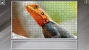 Super Jigsaw Puzzle: Generations - Random Animals 5 Screenshot 20