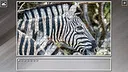 Super Jigsaw Puzzle: Generations - Random Animals 5 Screenshot 0