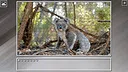 Super Jigsaw Puzzle: Generations - Random Animals 5 Screenshot 18