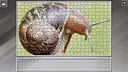 Super Jigsaw Puzzle: Generations - Random Animals 5 Screenshot 26