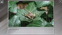 Super Jigsaw Puzzle: Generations - Random Animals 5 Screenshot 13