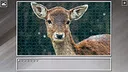 Super Jigsaw Puzzle: Generations - Random Animals 5 Screenshot 7