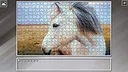 Super Jigsaw Puzzle: Generations - Random Animals 5 Screenshot 17