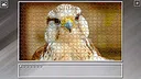 Super Jigsaw Puzzle: Generations - Random Animals 5 Screenshot 15