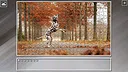 Super Jigsaw Puzzle: Generations - Random Animals 5 Screenshot 6