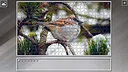 Super Jigsaw Puzzle: Generations - Random Animals 5 Screenshot 22