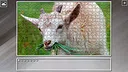 Super Jigsaw Puzzle: Generations - Random Animals 5 Screenshot 12