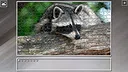 Super Jigsaw Puzzle: Generations - Random Animals 5 Screenshot 24