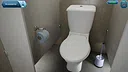 Toilet Empire Screenshot 1