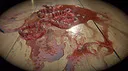 STAY ALIVE Demo Screenshot 4