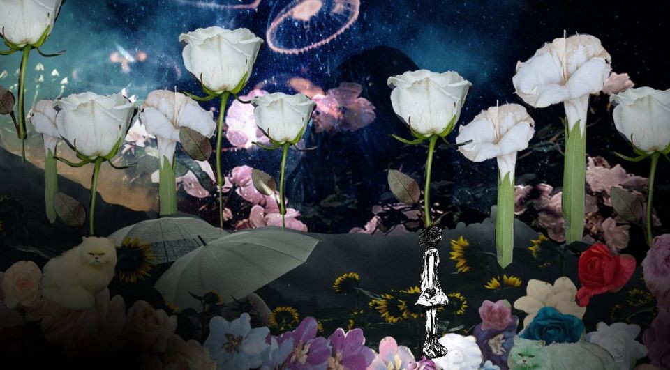 Purgo box Screenshot 1