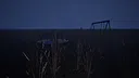 Stillness Screenshot 7