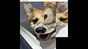 hgmGame-dog Screenshot 2