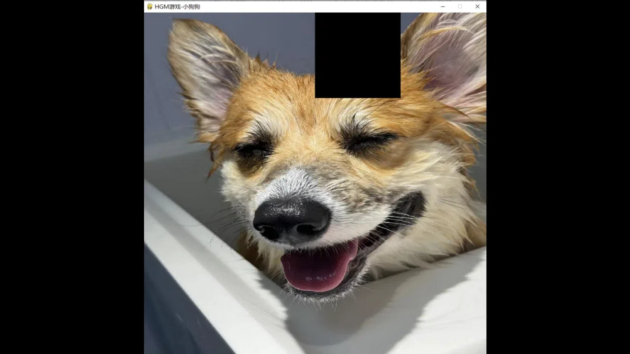 hgmGame-dog Screenshot 4