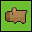 The Rainforest Explorer icon