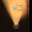 Spelunky icon