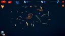 How Much Items - Fishes Screenshot 3