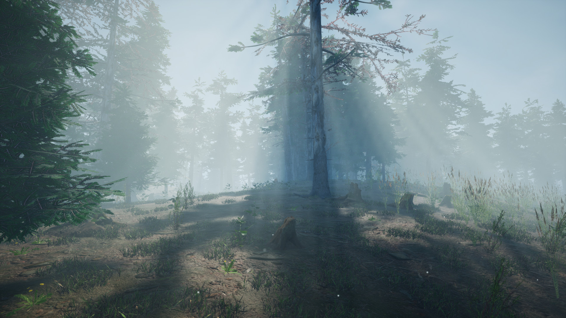 Mushroom Picker Simulator Screenshot 0