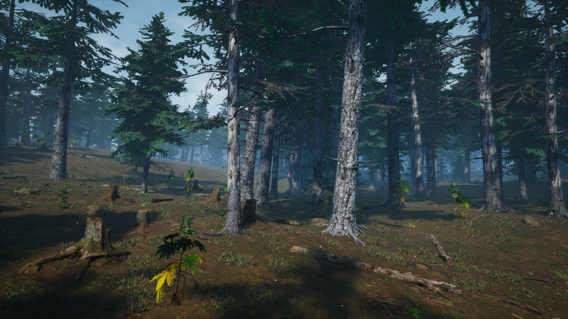 Mushroom Picker Simulator Screenshot 14