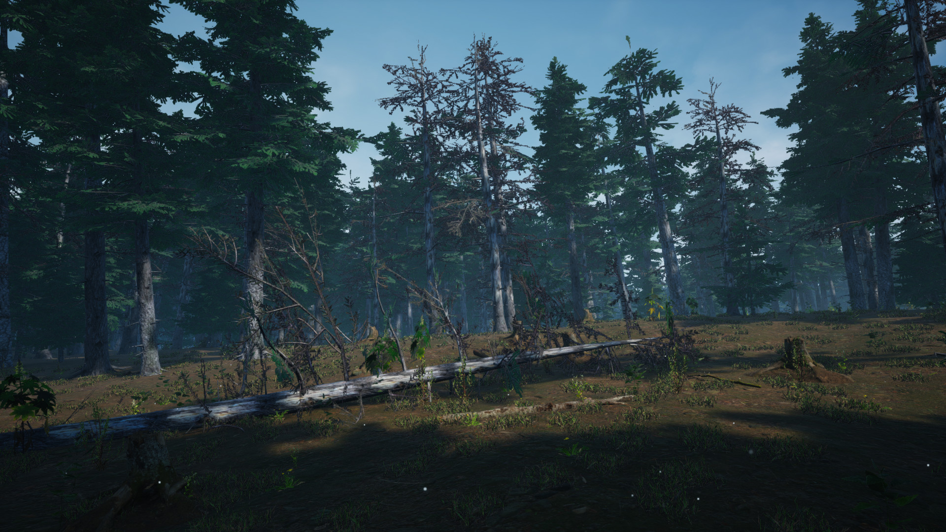 Mushroom Picker Simulator Screenshot 13