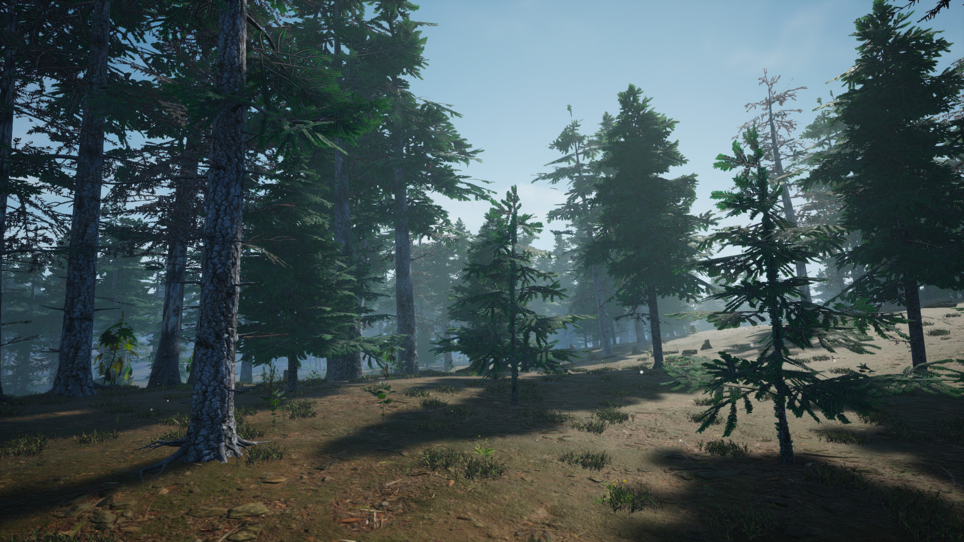 Mushroom Picker Simulator Screenshot 11