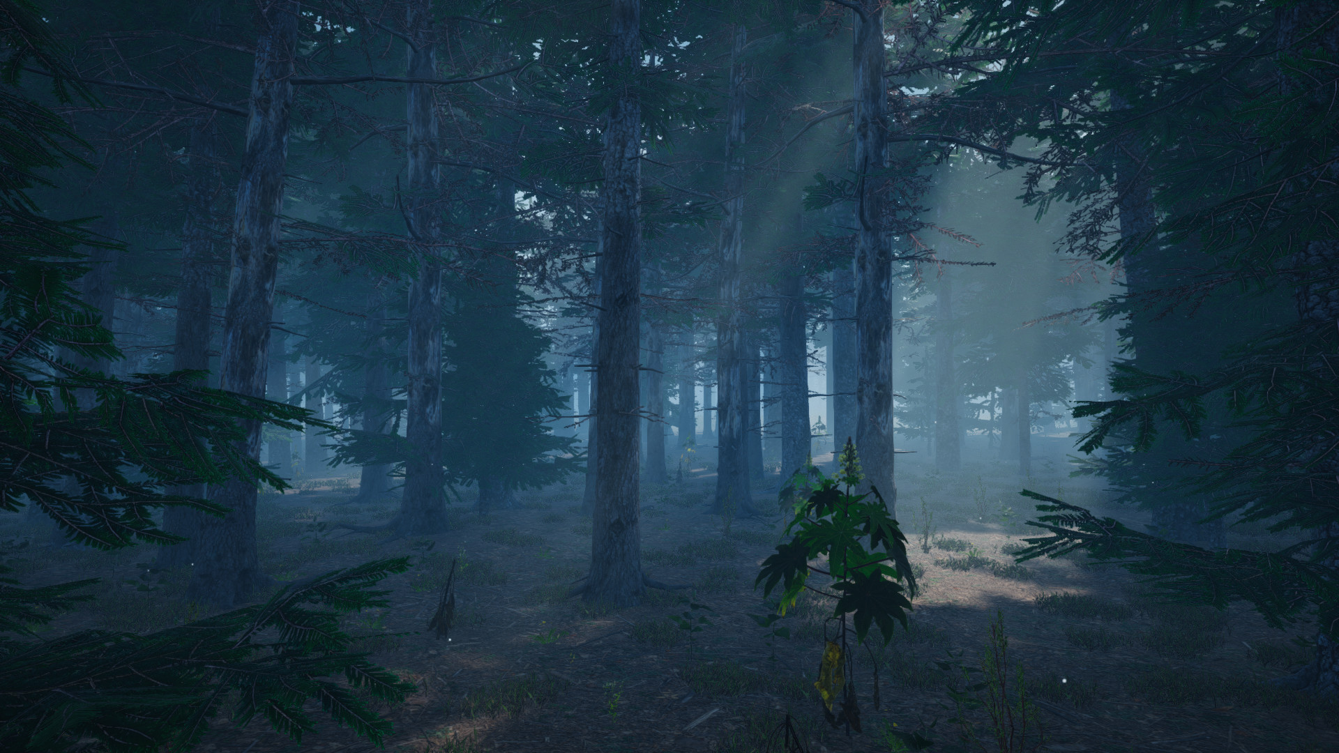 Mushroom Picker Simulator Screenshot 12