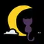 Luna icon
