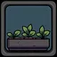 Blossom Seeker icon