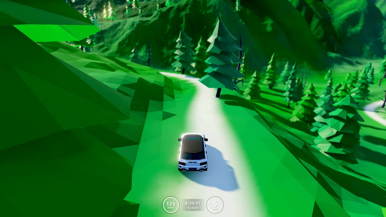 Poly Rally Screenshot 3