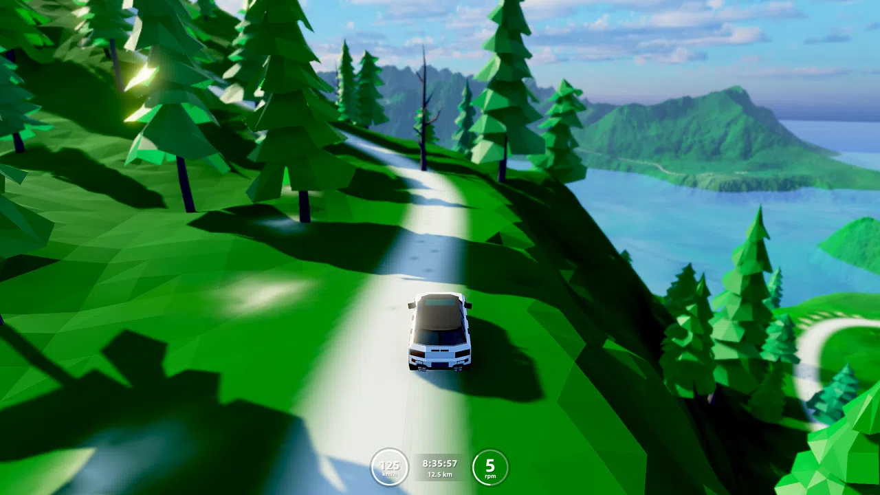 Poly Rally Screenshot 0