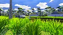 A Game About Mowing Your Lawn Screenshot 5