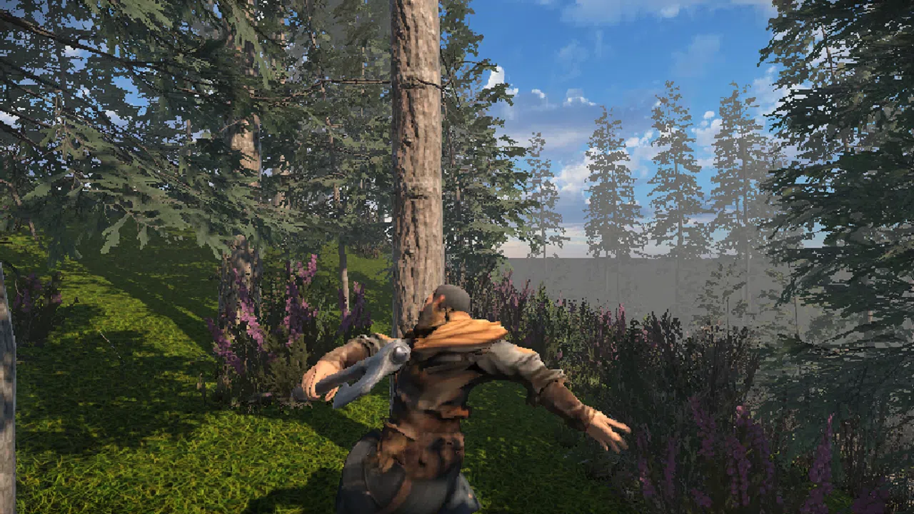 Zory Screenshot 5