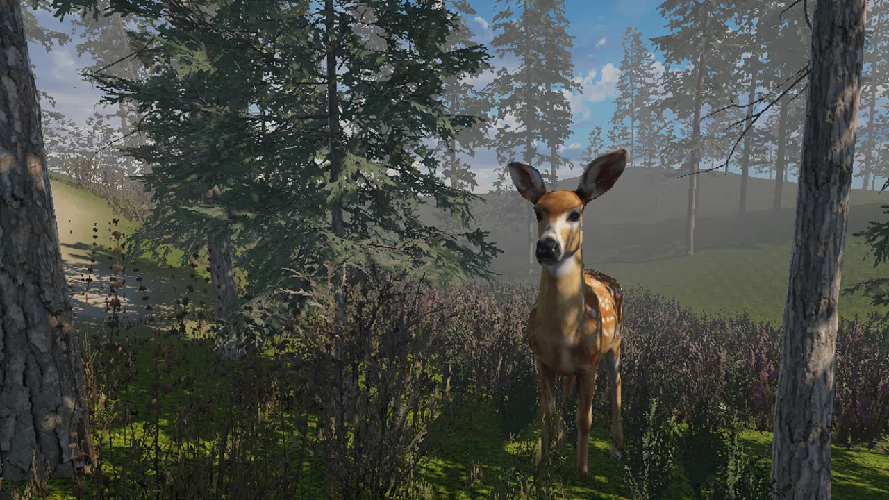 Zory Screenshot 2