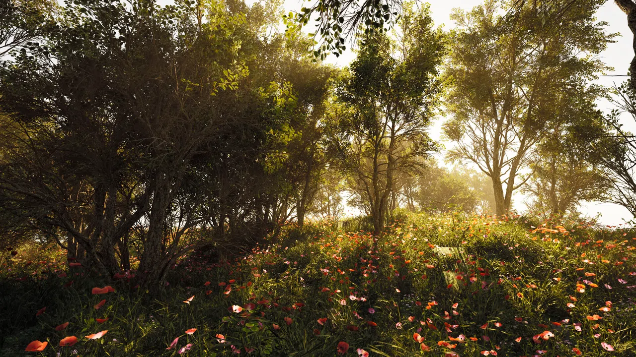 Calming Forest Screenshot 8