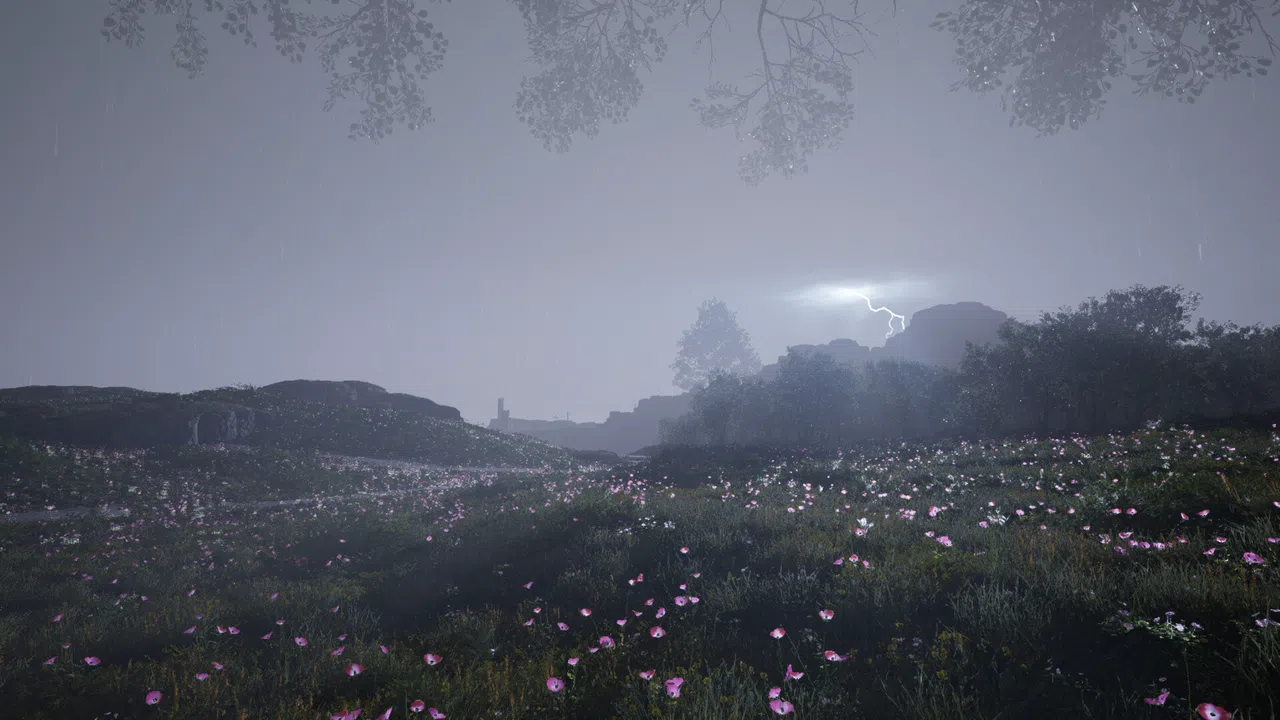 Calming Forest Screenshot 9