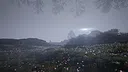 Calming Forest Screenshot 9