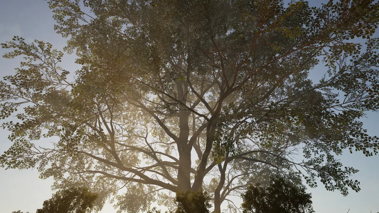 Calming Forest Screenshot 6